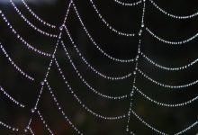 Deep Web vs Dark Web
