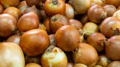 Ako dlho vydrží cibuľa pri izbovej teplote