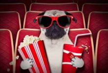 SledujFilmy.io online SK, CZ a zahraničné filmy zadarmo