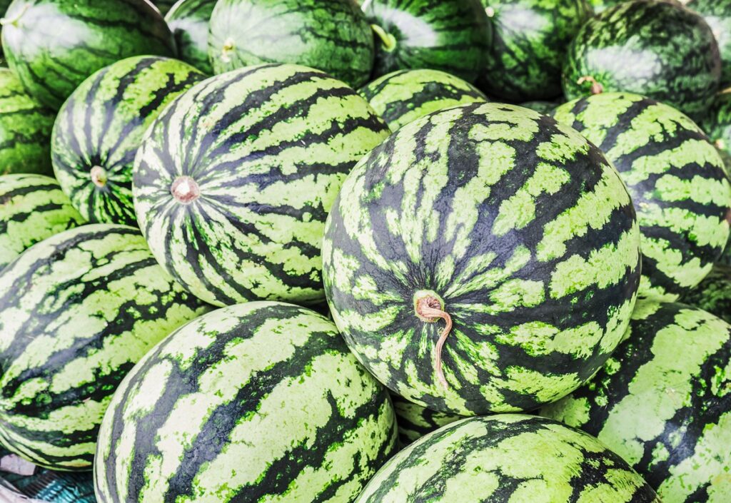 Melón Melón