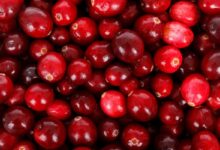 Brusnice – kalórie (kcal aj kJ), vitamíny, minerály a recepty