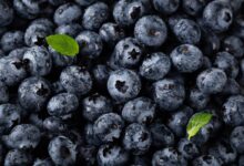 Čučoriedky – kalórie (kcal aj kJ), vitamíny, minerály a recepty