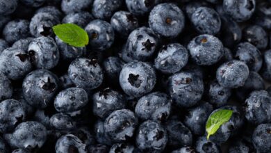 Čučoriedky – kalórie (kcal aj kJ), vitamíny, minerály a recepty