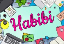 Čo znamená Habibi