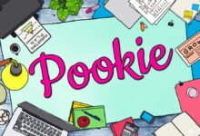 Čo znamená Pookie