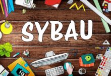 Čo znamená SYBAU