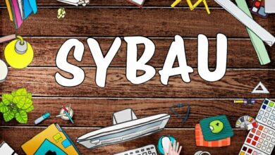 Čo znamená SYBAU