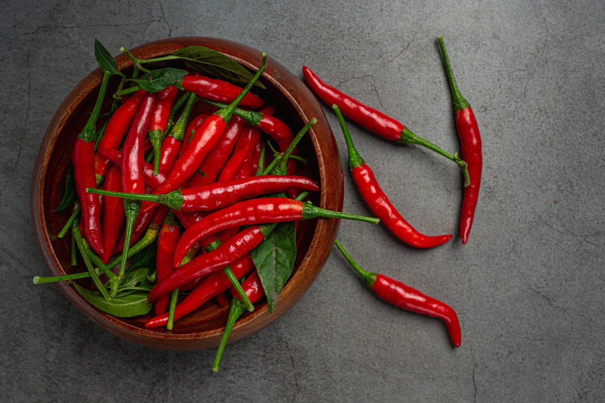 Chilli papričky