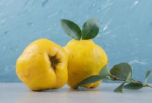 Dula – kalórie (kcal aj kJ), vitamíny, minerály a recepty