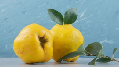 Dula – kalórie (kcal aj kJ), vitamíny, minerály a recepty