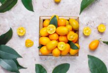 Kumkvat – kalórie (kcal a kJ), vitamíny a recepty