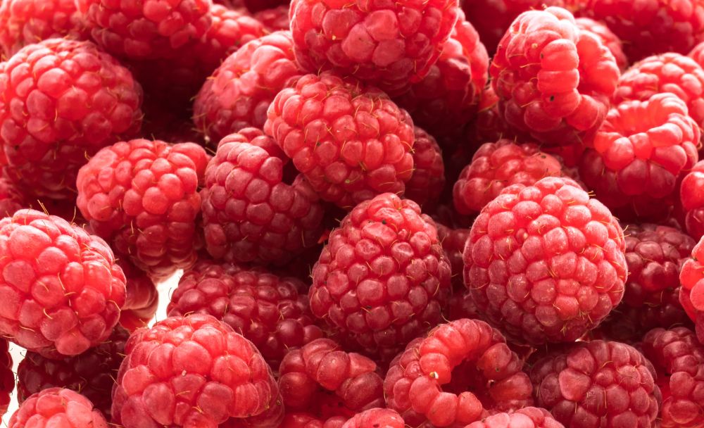 Raspberry Raspberry