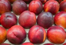 Nektarinka – kalórie (kcal aj kJ), vitamíny a recepty