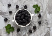 Ostružiny – kalórie (kcal aj kJ), vitamíny, minerály a recepty