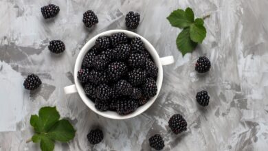 Ostružiny – kalórie (kcal aj kJ), vitamíny, minerály a recepty