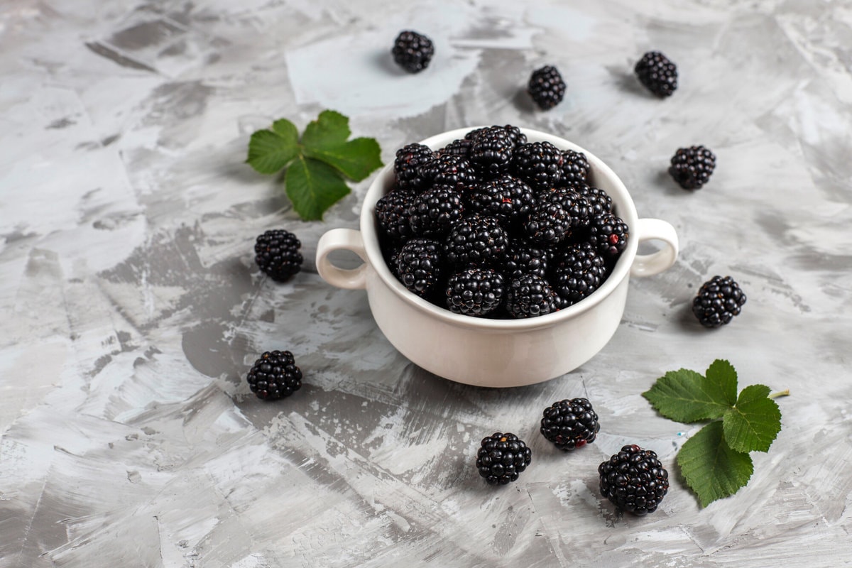 Blackberry recipes Blackberry recipes