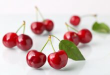 Višne – kalórie (kcal aj kJ), vitamíny a recepty